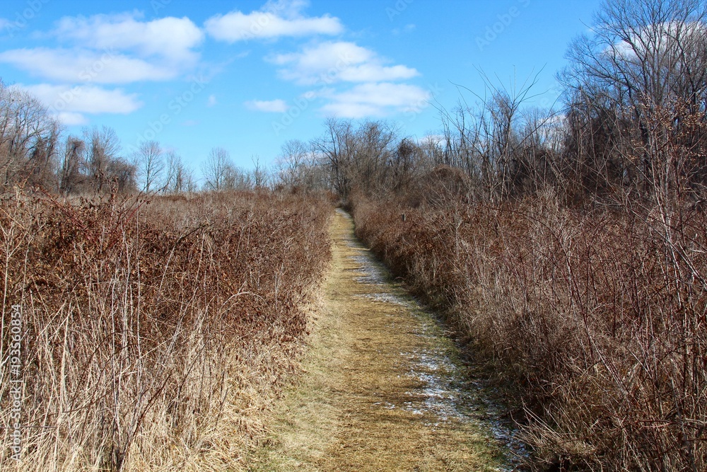The long grass trail in the tall grass prairie.