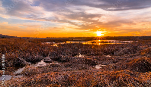 Sunset at Liberty Loop, part of the Wallkill River NWR, NJ, in late winter as the ice melts off the marshlands