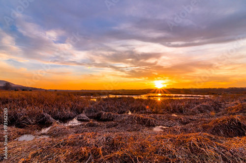 Sunset at Liberty Loop, part of the Wallkill River NWR, NJ, in late winter as the ice melts off the marshlands © rabbitti