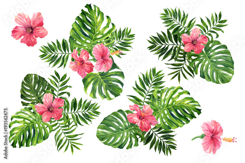 Realistic tropical botanical foliage plants. Set of tropical leaves and flowers: green palm neanta, monstera, hibiscus. Hand painted watercolor illustration isolated on white.