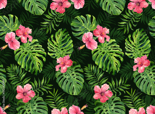 Plakat natura hawaje modny roślina