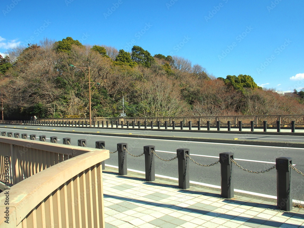 橋の上から見る森風景