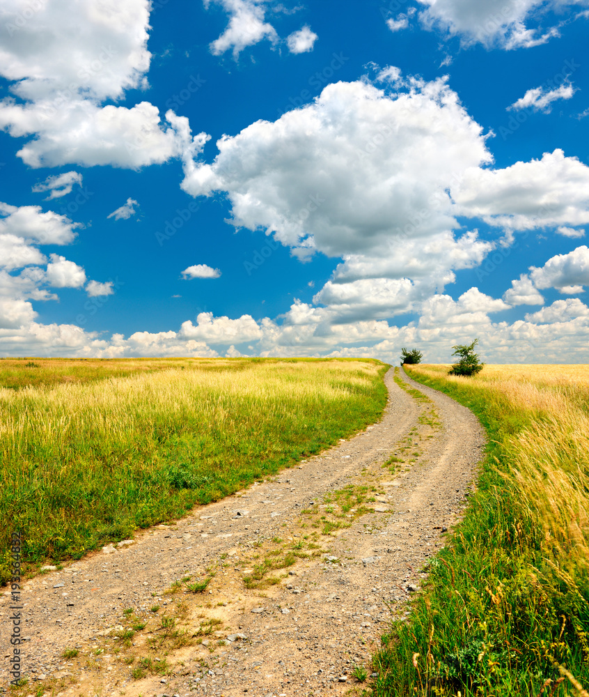 Feldweg durch reife Felder, Landschaft im Sommer, blauer Himmel mit Kumuluswolken Feldweg durch reife Felder, Landschaft im Sommer, blauer Himmel mit Kumuluswolken