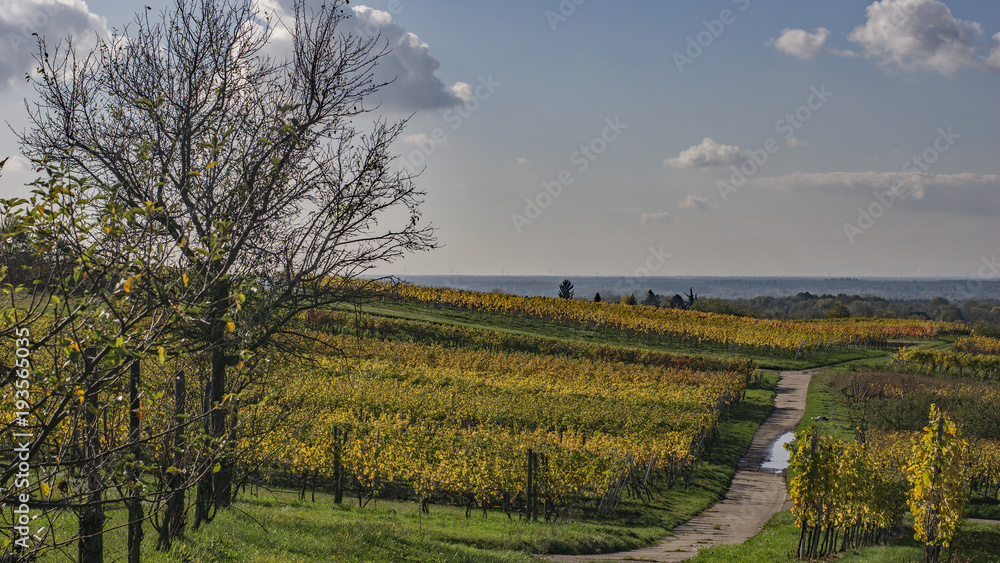 Fototapeta premium Landschaft im Kraichgau