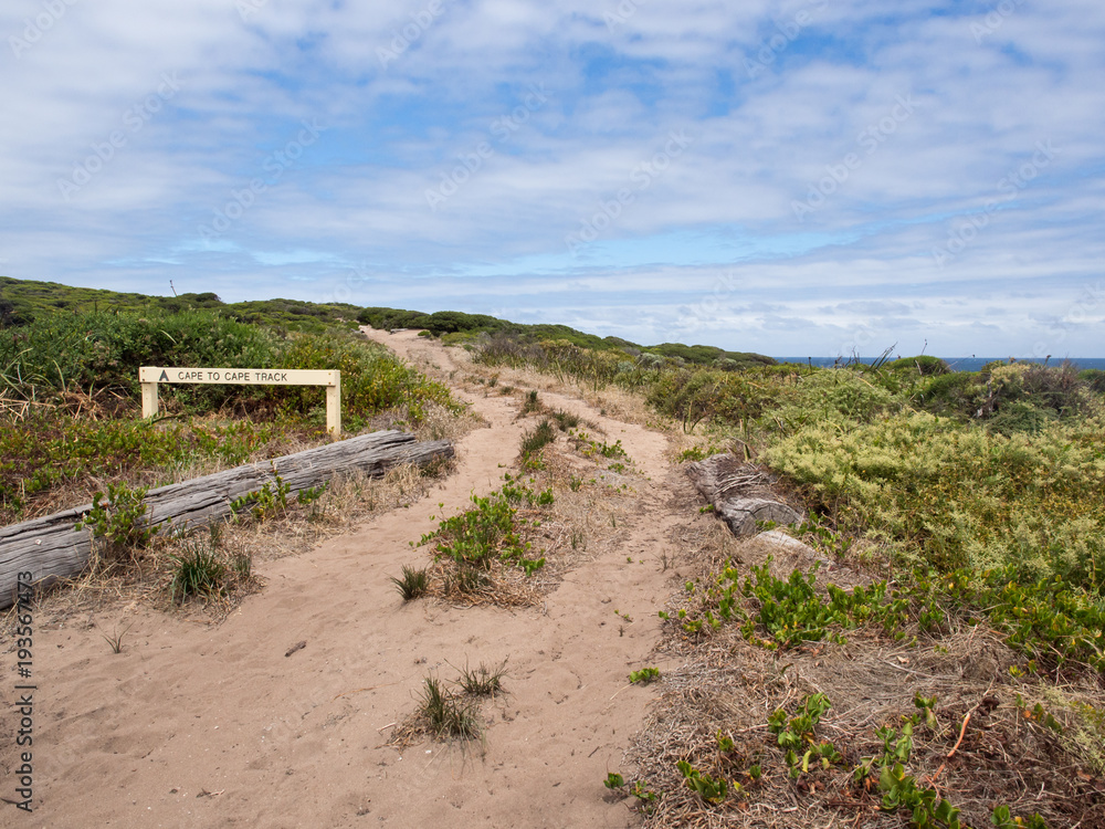 Cape to Cape Track, a popular hiking trail in the south-west of Australia