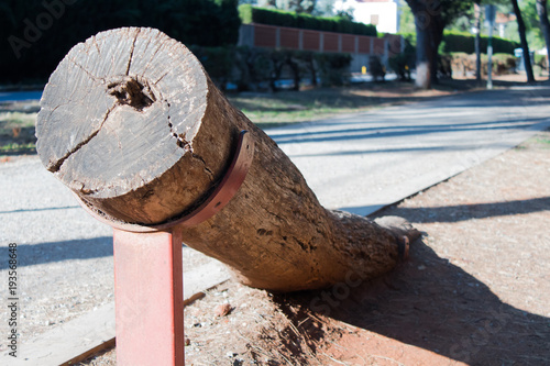 Hierro sujetando tronco de árbol