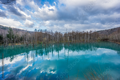 Sky reflections in Shirogane Blue Pond (Aoi-ike) Located in Biei, Kamikawa District, Hokkaido Prefecture, Japan.