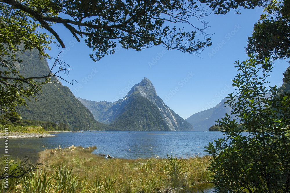 Obraz premium Milford Sound, New Zealand (The view is framed with walkway surroundings like trees and grass)