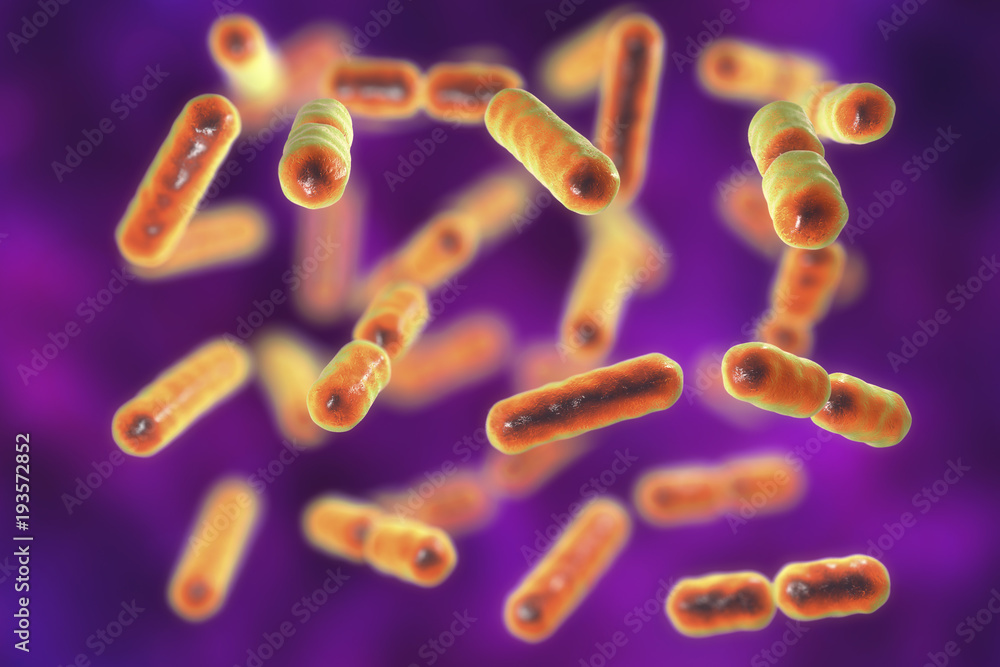 Bacteria Bacteroides fragilis, one of the major components of normal microbiome of human intestine, 3D illustration Bacteria Bacteroides fragilis, one of the major components of normal microbiome of human intestine, 3D illustration