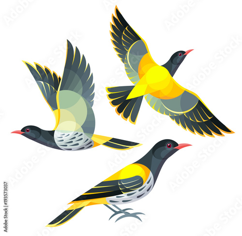 Stylized Birds - Dark-throated Oriole