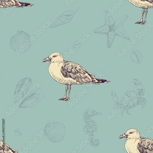 Vintage pattern with seagulls. Sea life