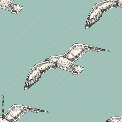 Vintage pattern with seagulls. Sea bird