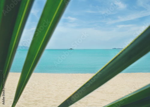 Tableau sur toile view through the leaves of a palm tree on the beach