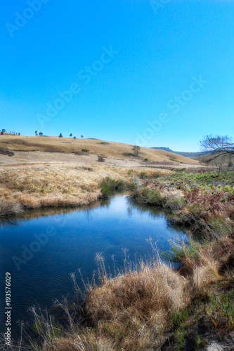 The pond