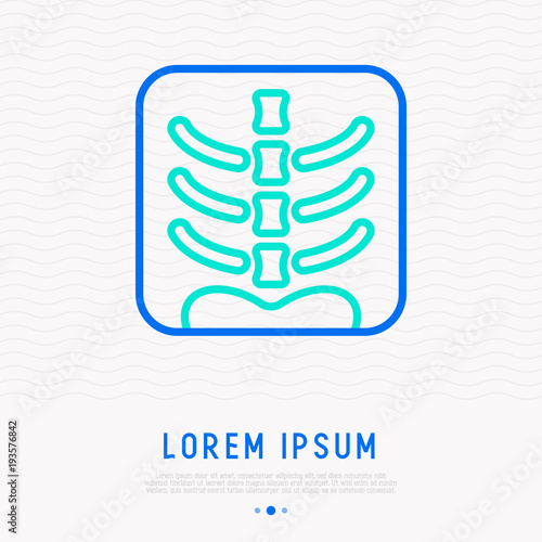 X-ray image of human spine thin line icon. Modern vector illustration.