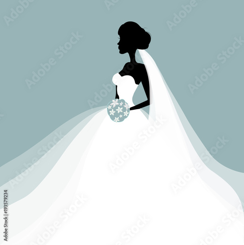 Beautiful bride in a wedding dress