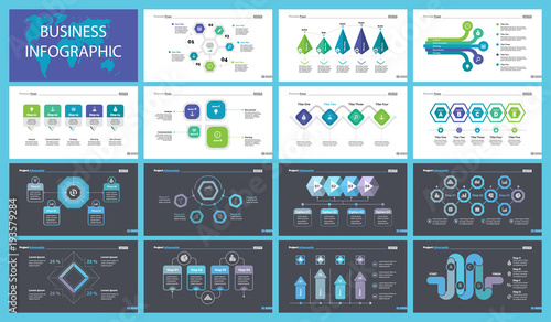 Fifteen Management Slide Templates Set