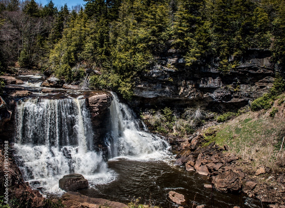 Obraz premium waterfall in spring
