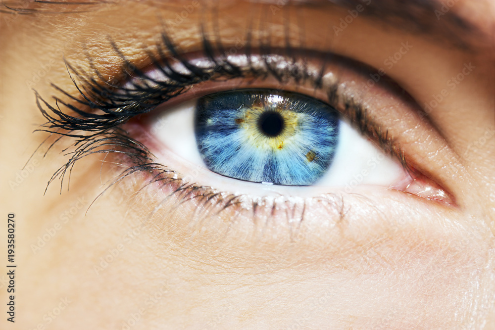 Fototapeta premium A beautiful insightful look woman's eye. Close up shot