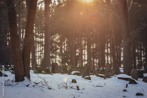 Muslim cemetery in Kruszyniany, small village famous for its Polish Tatars residents in Podlasie region of eastern Poland photo