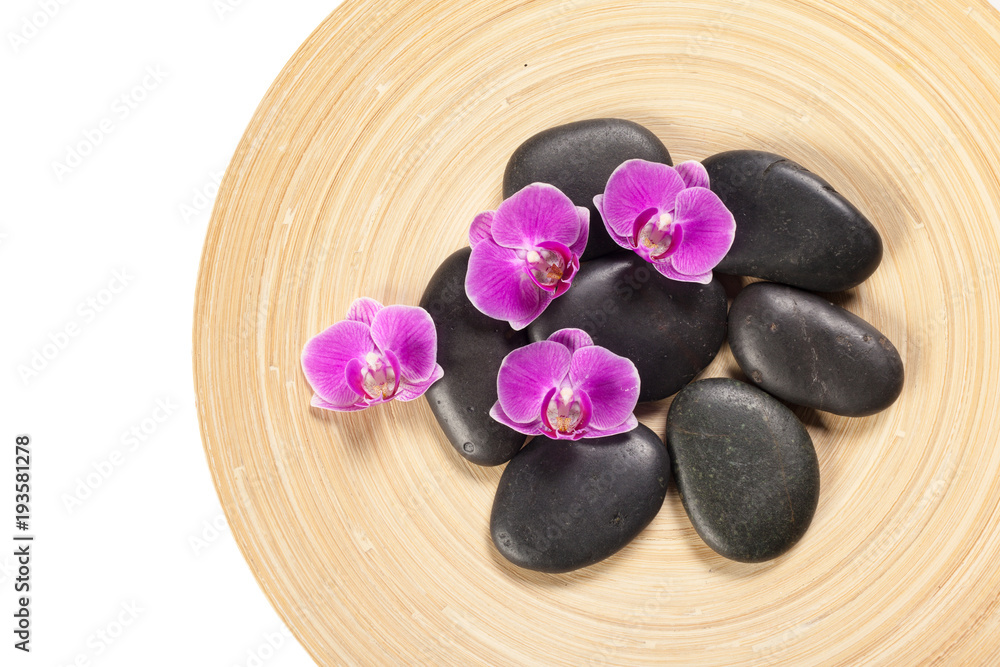 zen stone and orchid. spa concept zen stone and orchid. spa concept