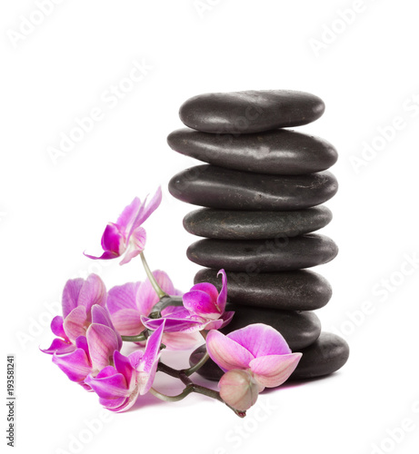 zen stone and orchid. spa concept