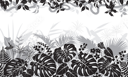 Tropical Black and White Pattern