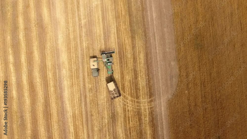 An impressive bird`s eye view of a combile harvester loading wheat to a truck cargo box thru a tube in a field on a sunny day in summer. An impressive bird`s eye view of a combile harvester loading wheat to a truck cargo box thru a tube in a field on a sunny day in summer.
