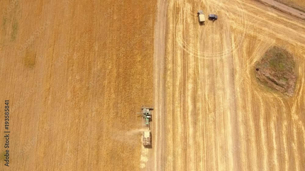 A breathtaking view of a moving combine harvester. It gathers, threshes and winnows wheat whle trucks are waiting for its crops in summer. A breathtaking view of a moving combine harvester. It gathers, threshes and winnows wheat whle trucks are waiting for its crops in summer.