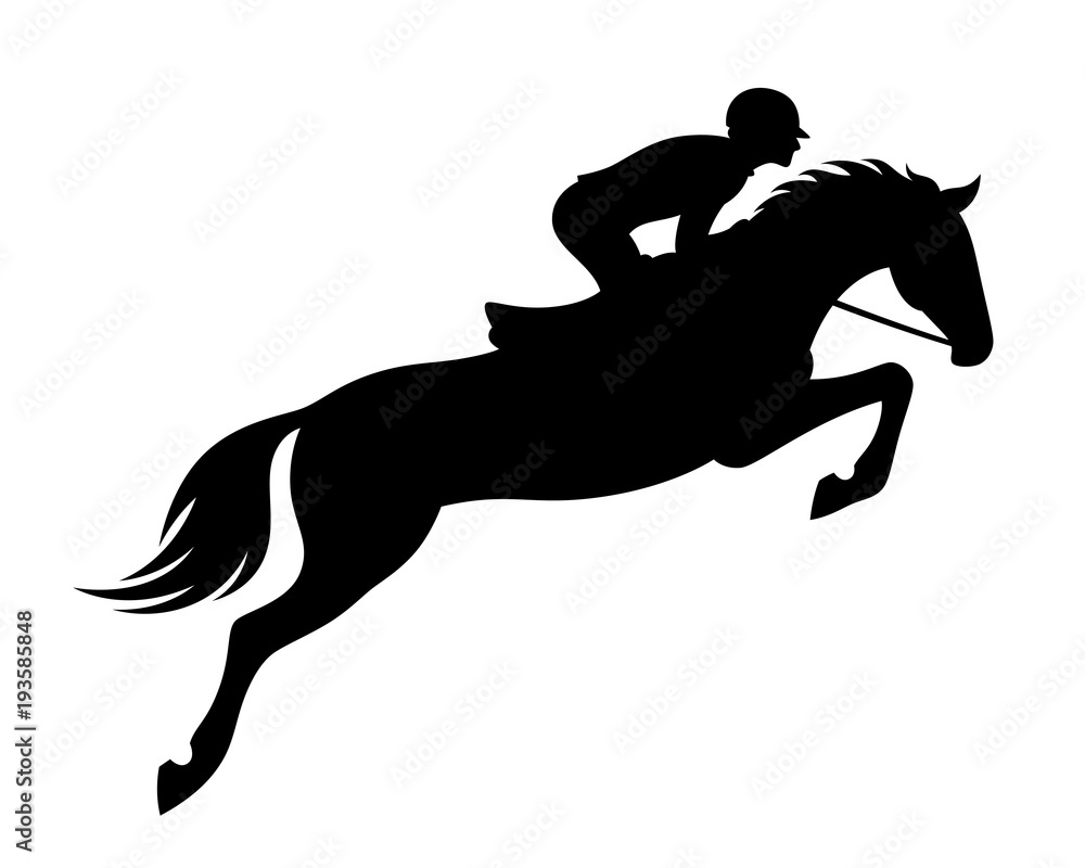 Horse jumping on a white background Horse jumping on a white background