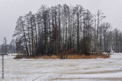 Wallpaper Mural Pond in park of Bialowieza, large village in Bialowieza Forest in Poland Torontodigital.ca