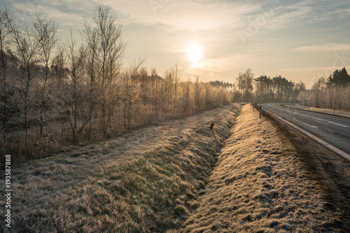 Road and roadside with a ditch during a frosty morning photo