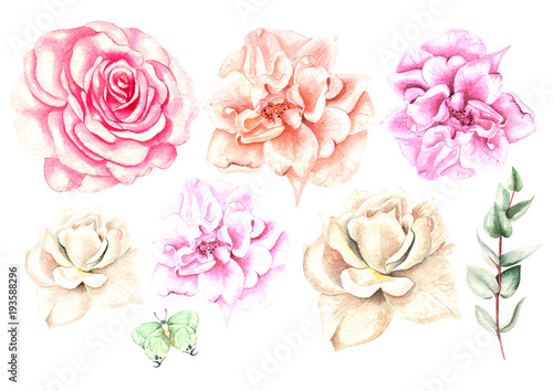Beautiful Watercolor set with different roses. 