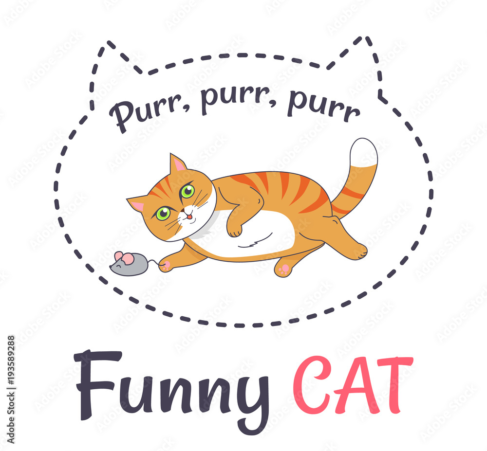 Funny Cat Makes Sound Purr Playing with Grey Mouse Funny Cat Makes Sound Purr Playing with Grey Mouse