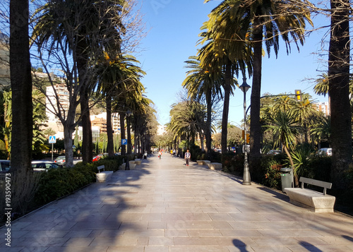 Palm trees with a walkway, beautiful sumer day in Malaga, Spain