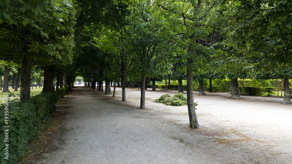 Scene from inside Schönbrunn Palace Gardens Scene from inside Schönbrunn Palace Gardens