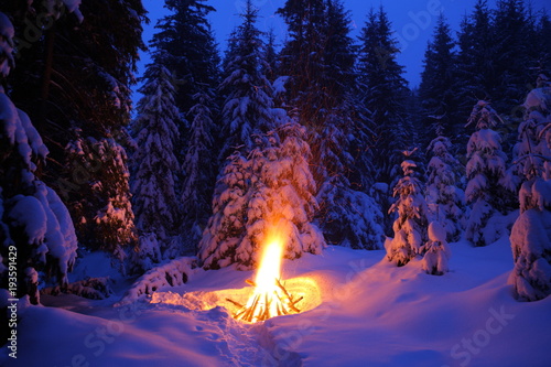 Bonfire in the winter forest illuminates the snow.