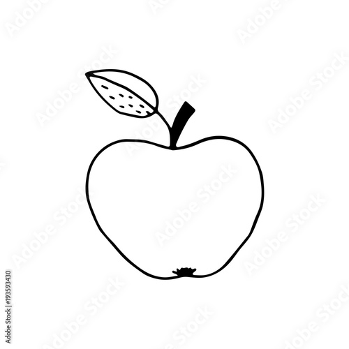 Linear cartoon hand drawn apple. Cute vector black and white doodle apple. Isolated monochrome apple silhouette on white background.