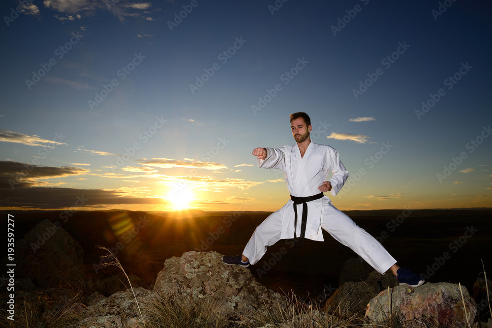 Specialist in martial arts making technical movements. Specialist in martial arts making technical movements.