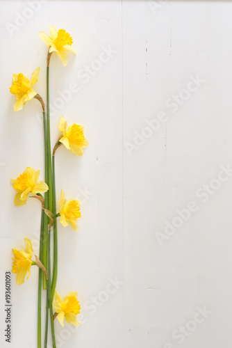 Narcissus on wooden table, bright day, empty space