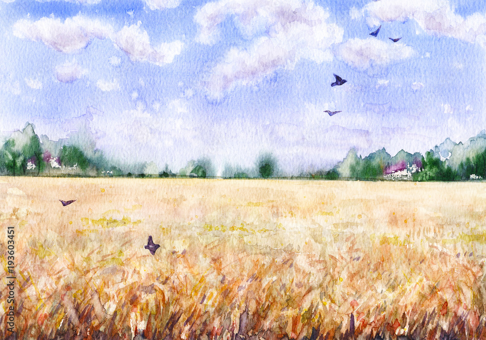 Obraz Akwarela krajobraz z pola pszenicy