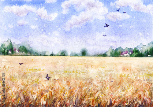 Obraz na płótnie Akwarela krajobraz z pola pszenicy
