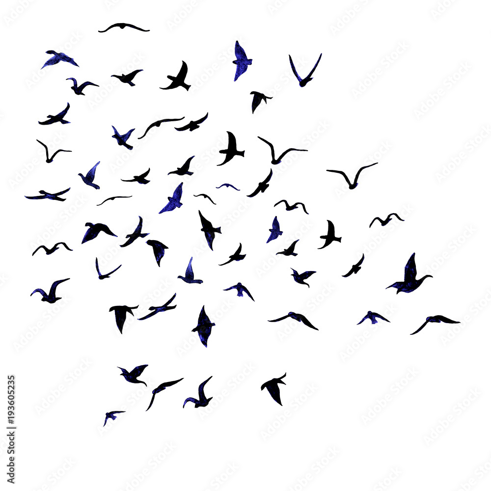 Watercolor hand painted flock of birds isolated on white background.