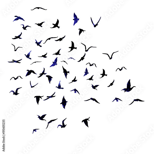 Watercolor hand painted flock of birds isolated on white background.