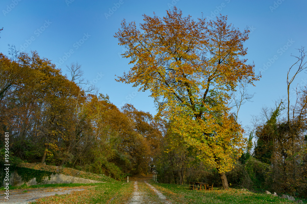 Autumn in Plessiva