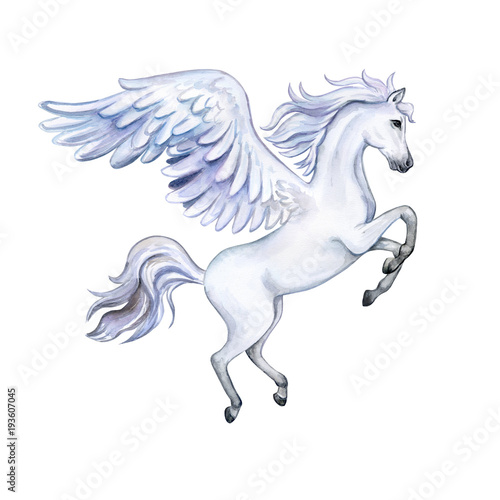 Pegasus with wings isolated on white background. Нippo. Watercolor. Illustration. Template Clip art.