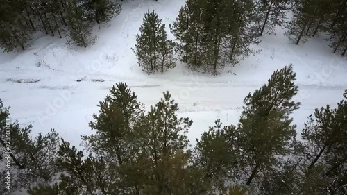 flight over the winter forest