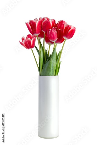 Bouquet of red tulips in white vase isolated on white background