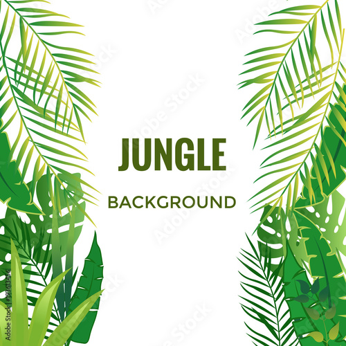 Jungle background. Jungle trees and plants. Vector illustration.