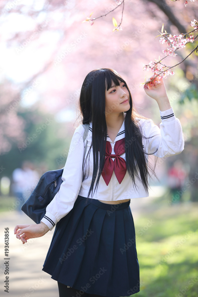 Japanese school girl dress with sakura flower nature walkway Japanese school girl dress with sakura flower nature walkway